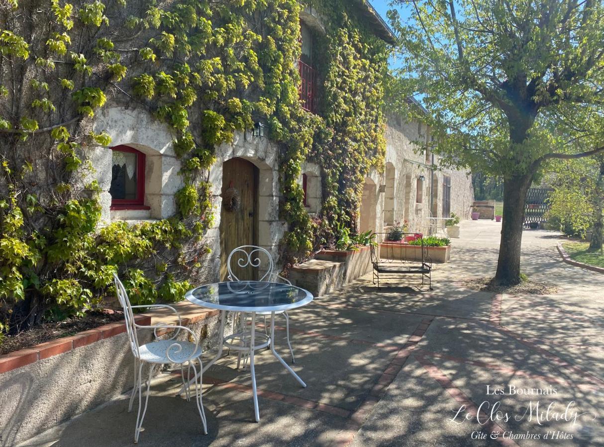 Chambres D'Hotes Les Bournais - Le Clos Milady L'Ile-Bouchard Bagian luar foto