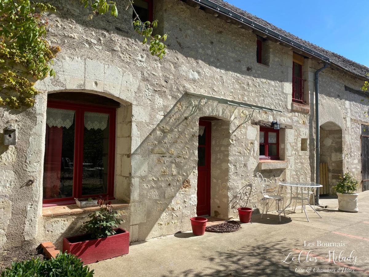 Chambres D'Hotes Les Bournais - Le Clos Milady L'Ile-Bouchard Bagian luar foto