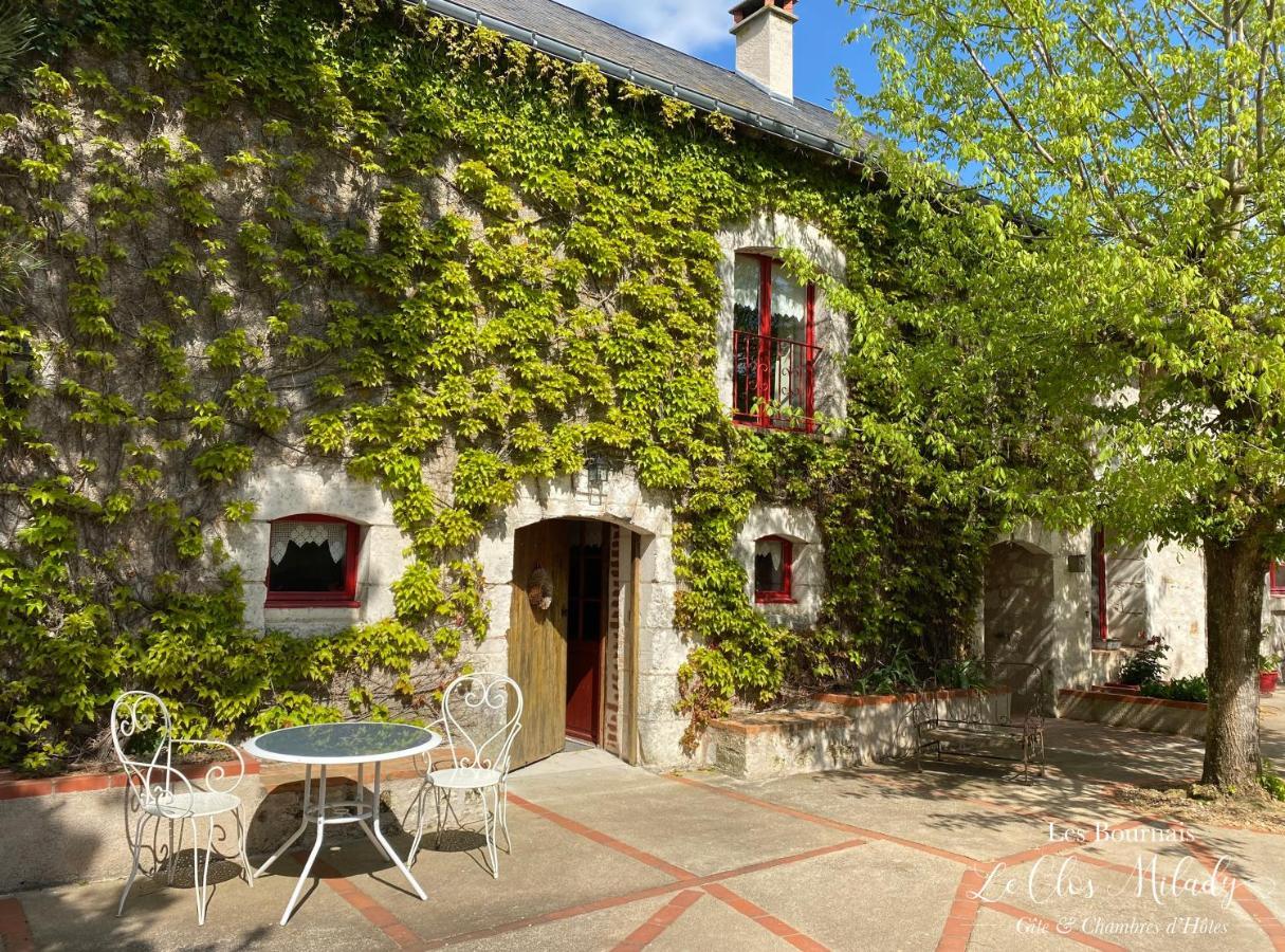 Chambres D'Hotes Les Bournais - Le Clos Milady L'Ile-Bouchard Bagian luar foto