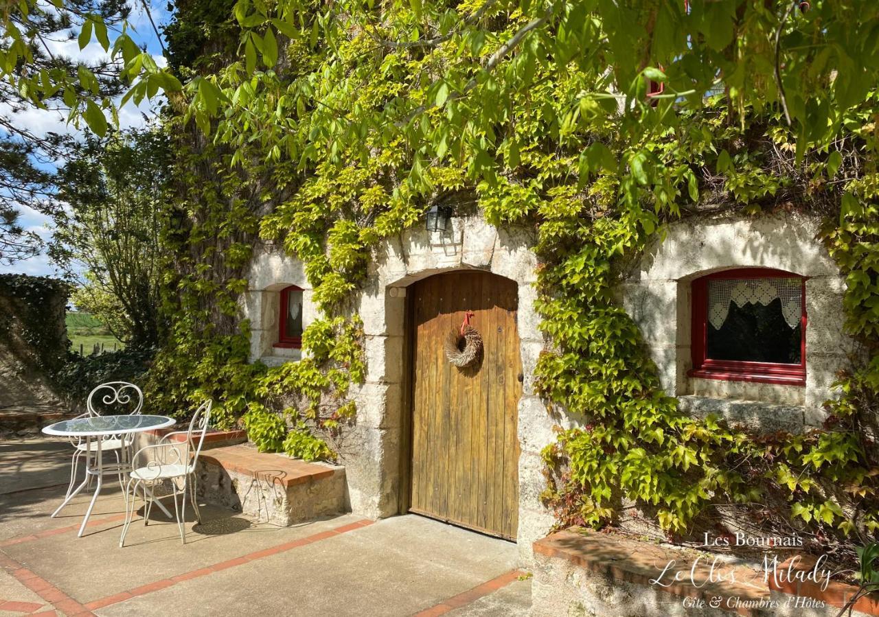 Chambres D'Hotes Les Bournais - Le Clos Milady L'Ile-Bouchard Bagian luar foto