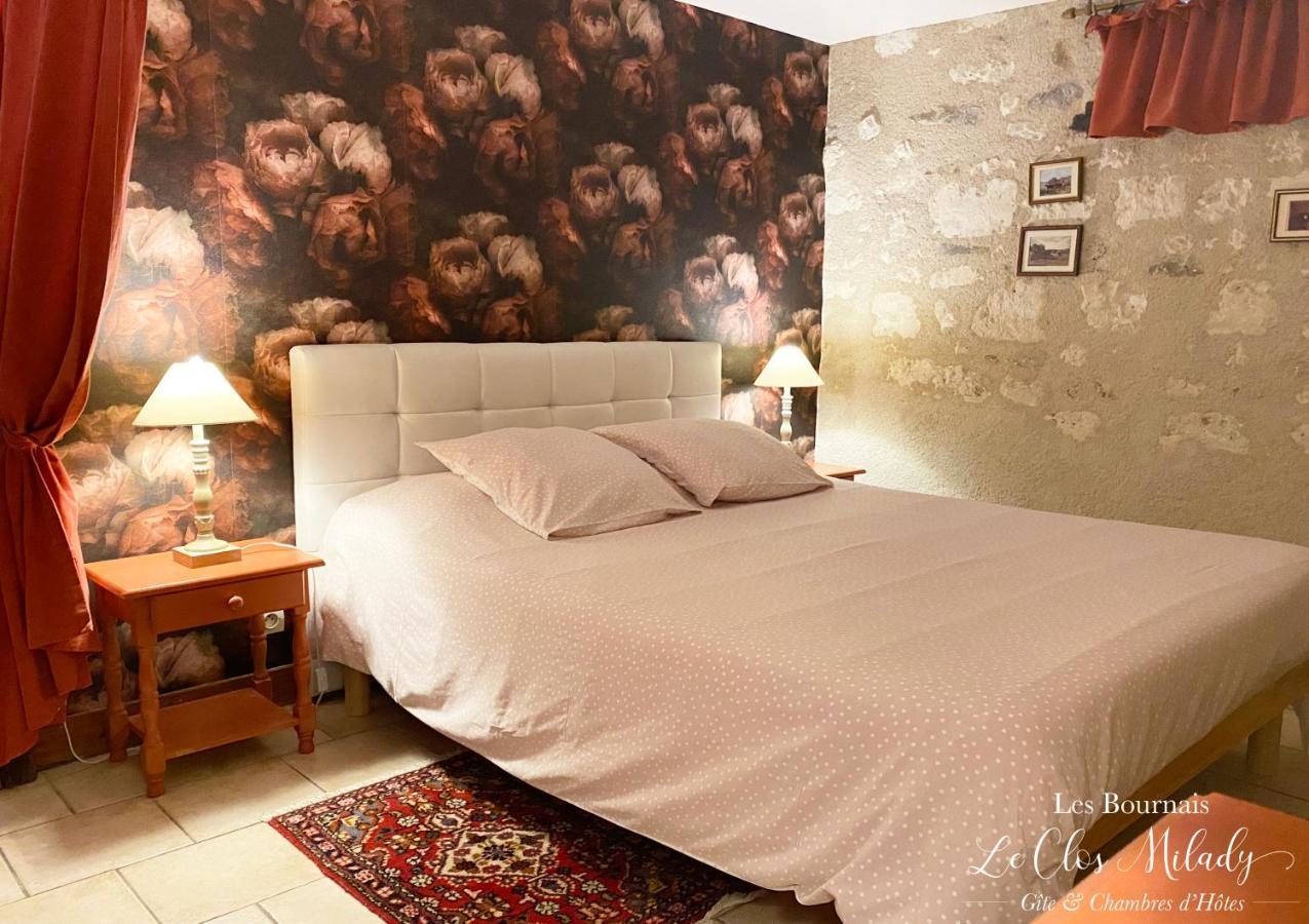 Chambres D'Hotes Les Bournais - Le Clos Milady L'Ile-Bouchard Bagian luar foto