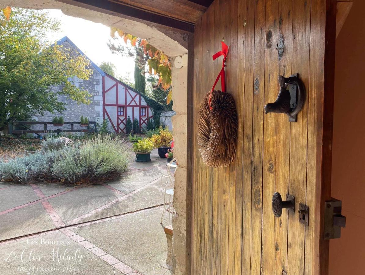 Chambres D'Hotes Les Bournais - Le Clos Milady L'Ile-Bouchard Bagian luar foto