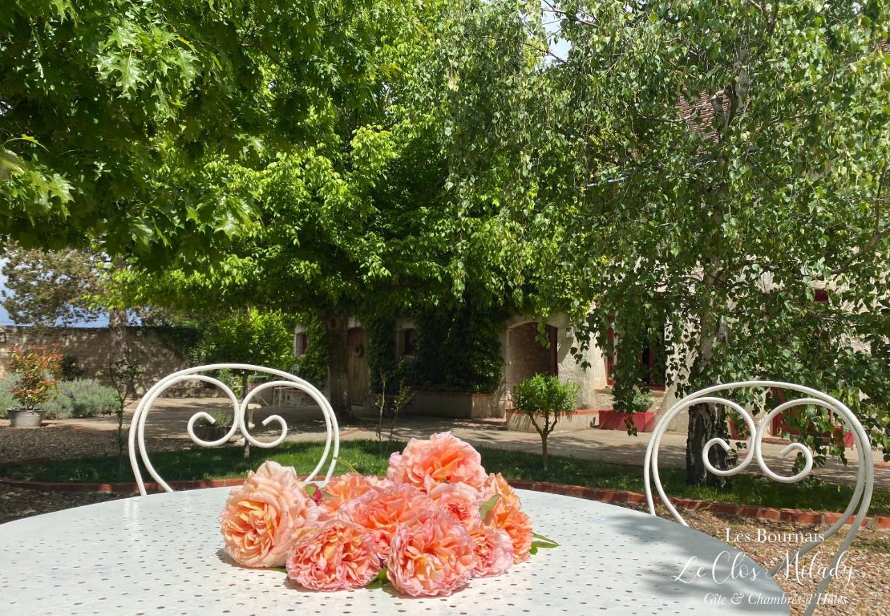 Chambres D'Hotes Les Bournais - Le Clos Milady L'Ile-Bouchard Bagian luar foto