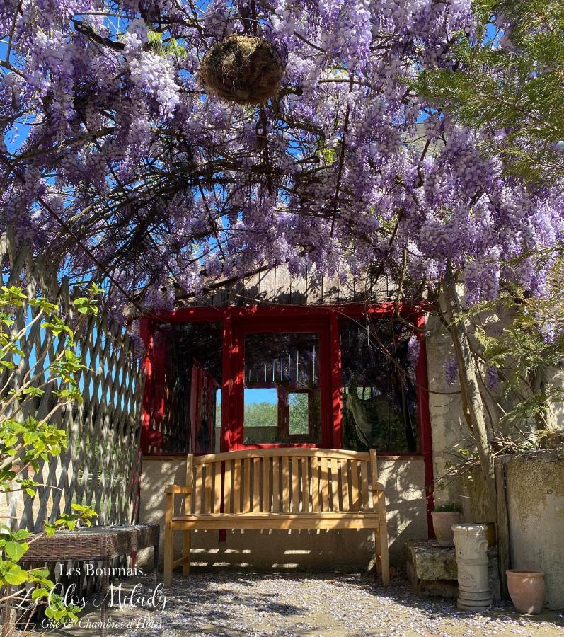 Chambres D'Hotes Les Bournais - Le Clos Milady L'Ile-Bouchard Bagian luar foto