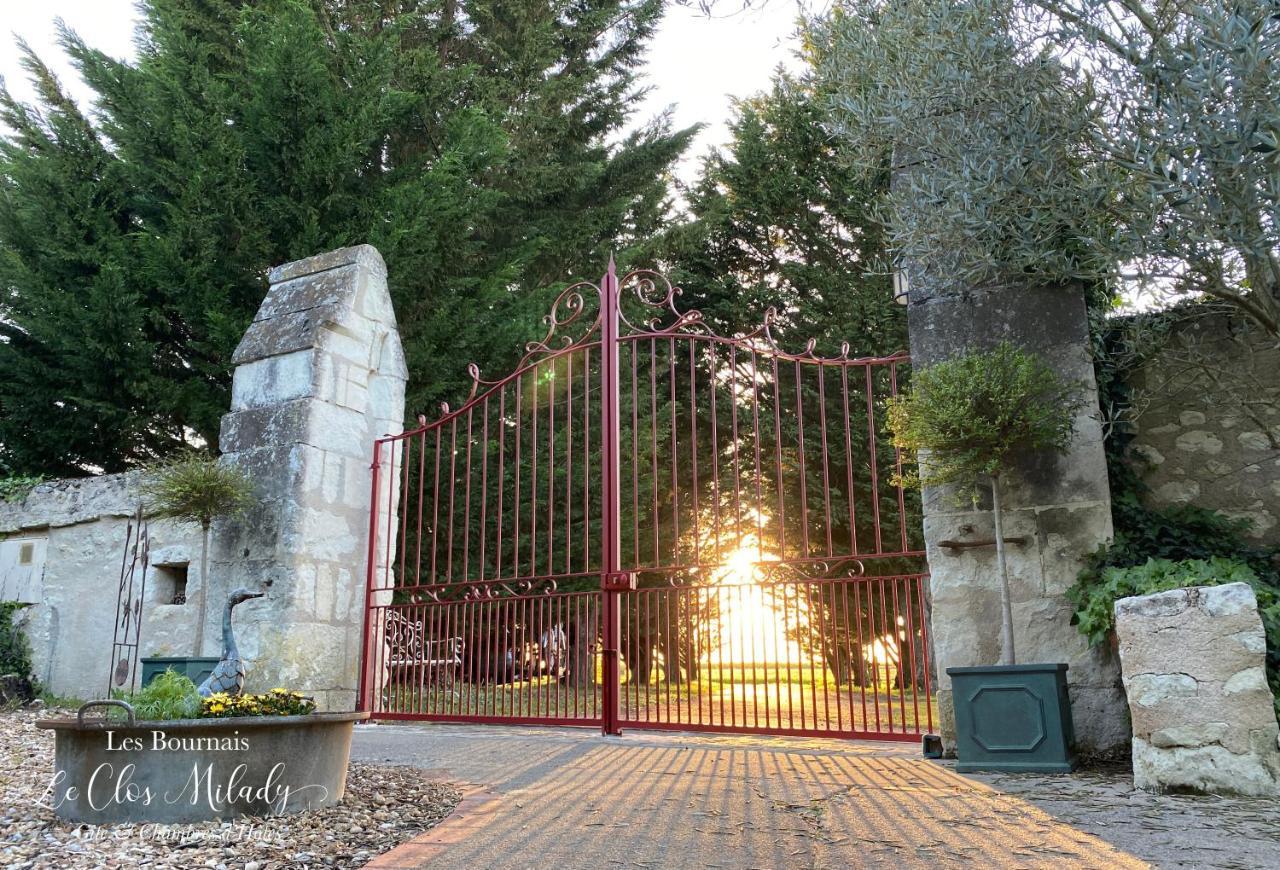 Chambres D'Hotes Les Bournais - Le Clos Milady L'Ile-Bouchard Bagian luar foto