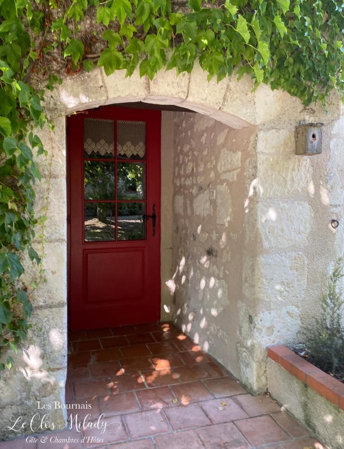 Chambres D'Hotes Les Bournais - Le Clos Milady L'Ile-Bouchard Bagian luar foto