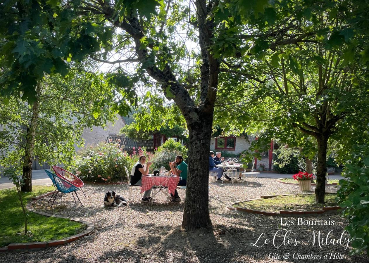 Chambres D'Hotes Les Bournais - Le Clos Milady L'Ile-Bouchard Bagian luar foto