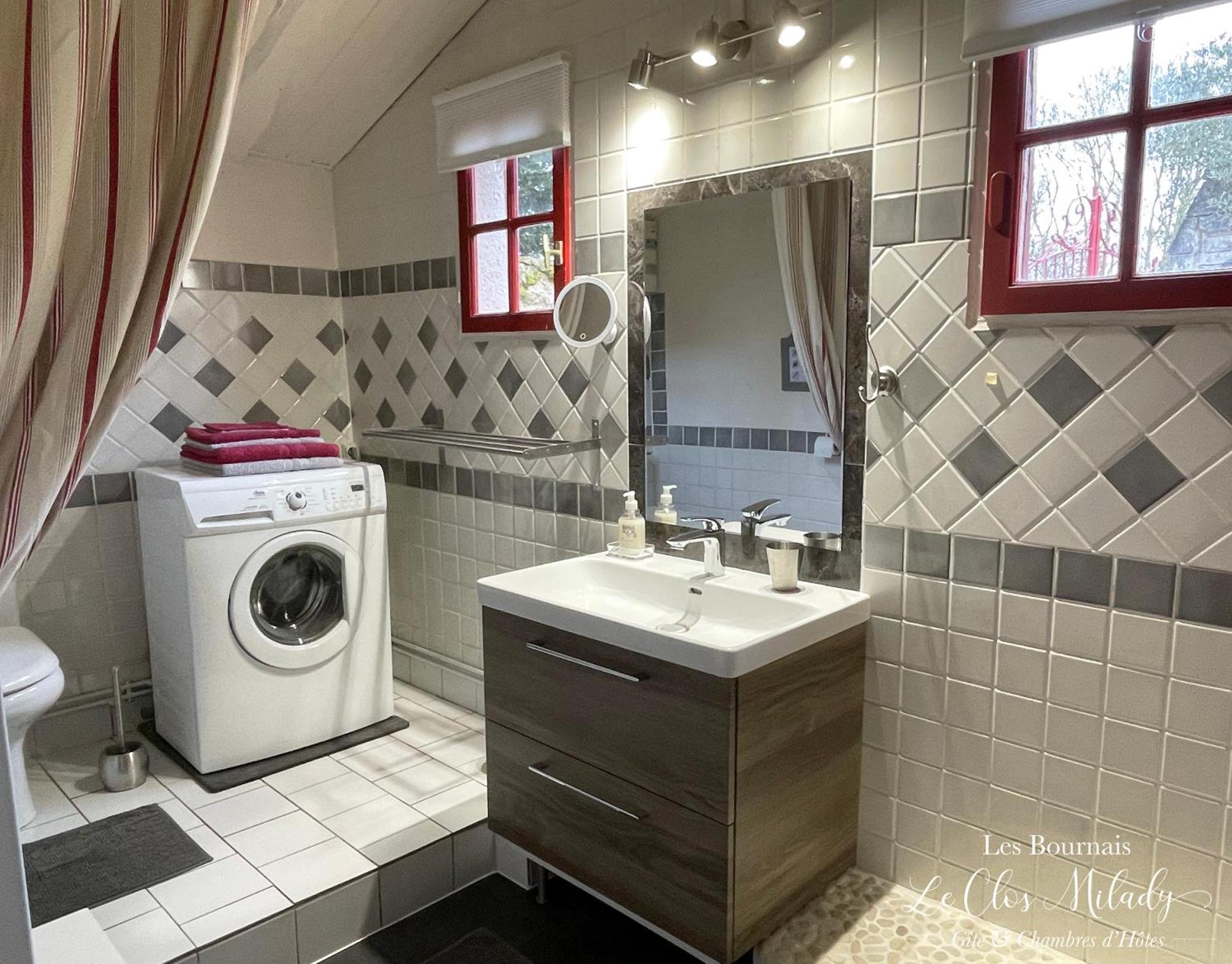 Chambres D'Hotes Les Bournais - Le Clos Milady L'Ile-Bouchard Bagian luar foto