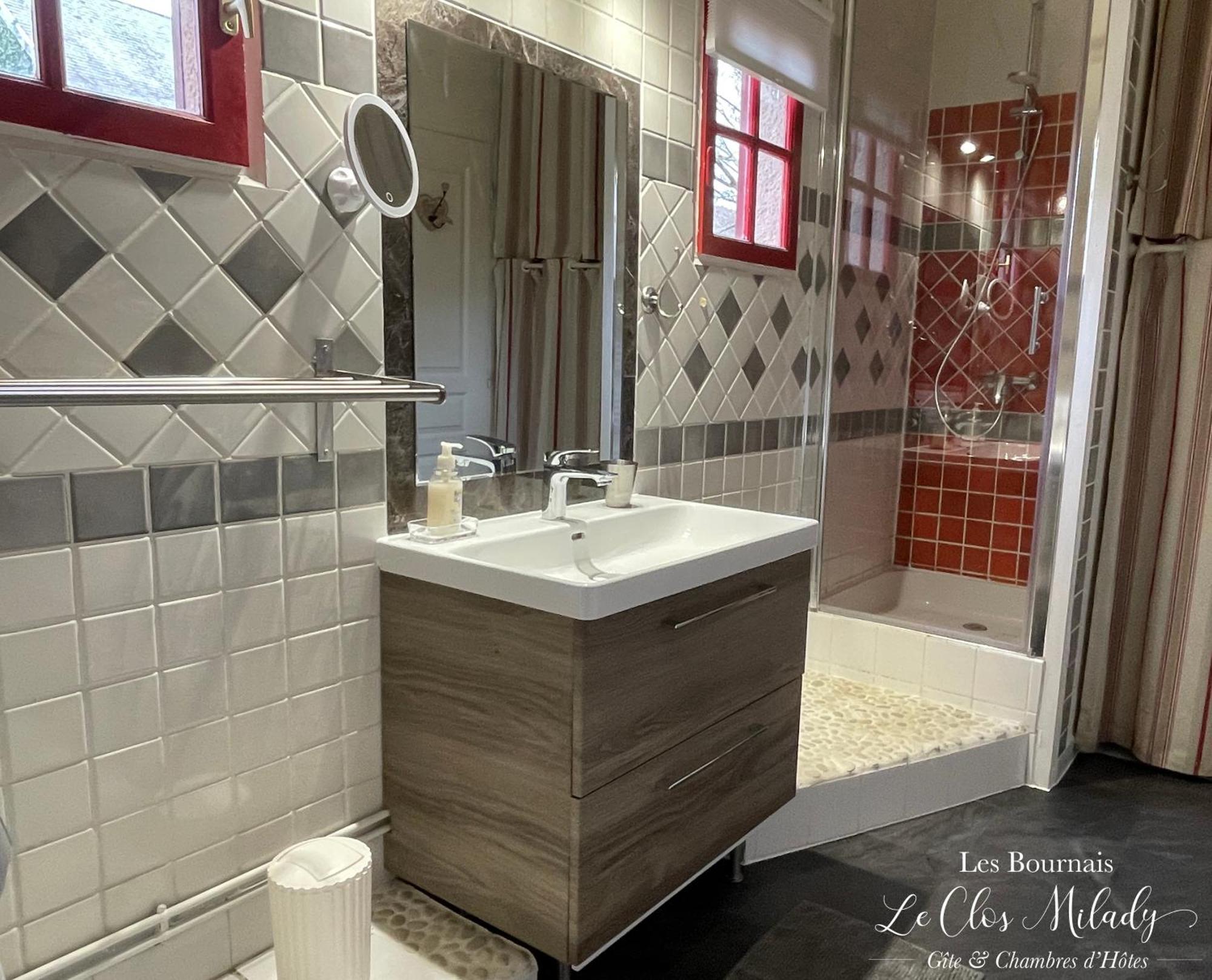 Chambres D'Hotes Les Bournais - Le Clos Milady L'Ile-Bouchard Bagian luar foto